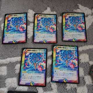 知識の精霊ロードリエス 5枚セット