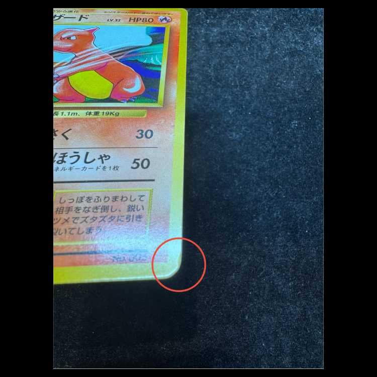 Charmeleon First Edition, No Markings, Original Back Cover  1枚