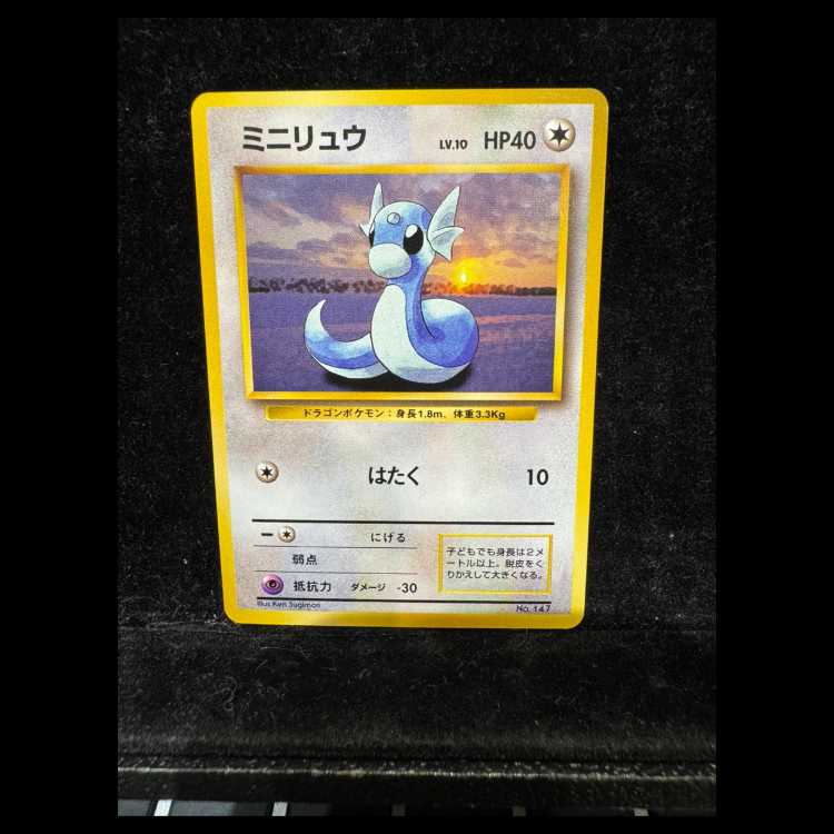 Dratini First Edition, No Markings, Original Back Cover 1枚