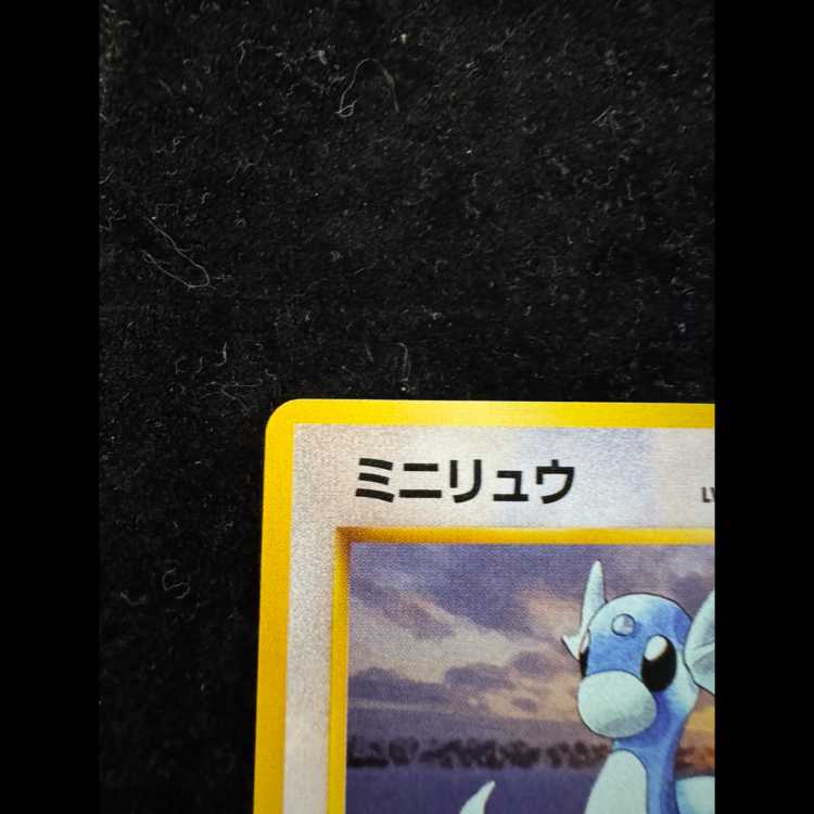 Dratini First Edition, No Markings, Original Back Cover 1枚