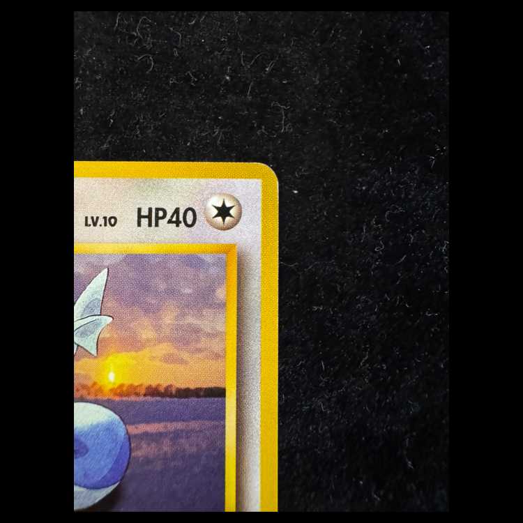 Dratini First Edition, No Markings, Original Back Cover 1枚