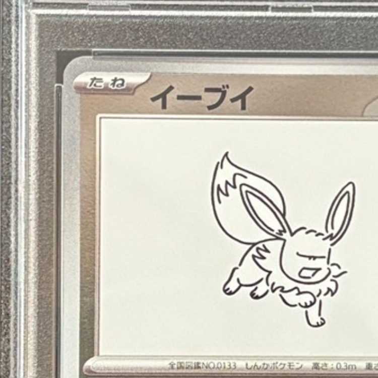 [PSA10] Eevee 《YU NAGABA》 (Promo) {062/SV-P} [SV] 1枚