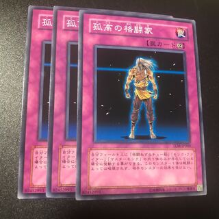 孤高の格闘家 N