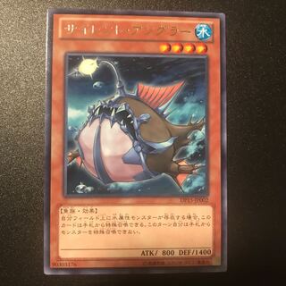 サイレント・アングラー R