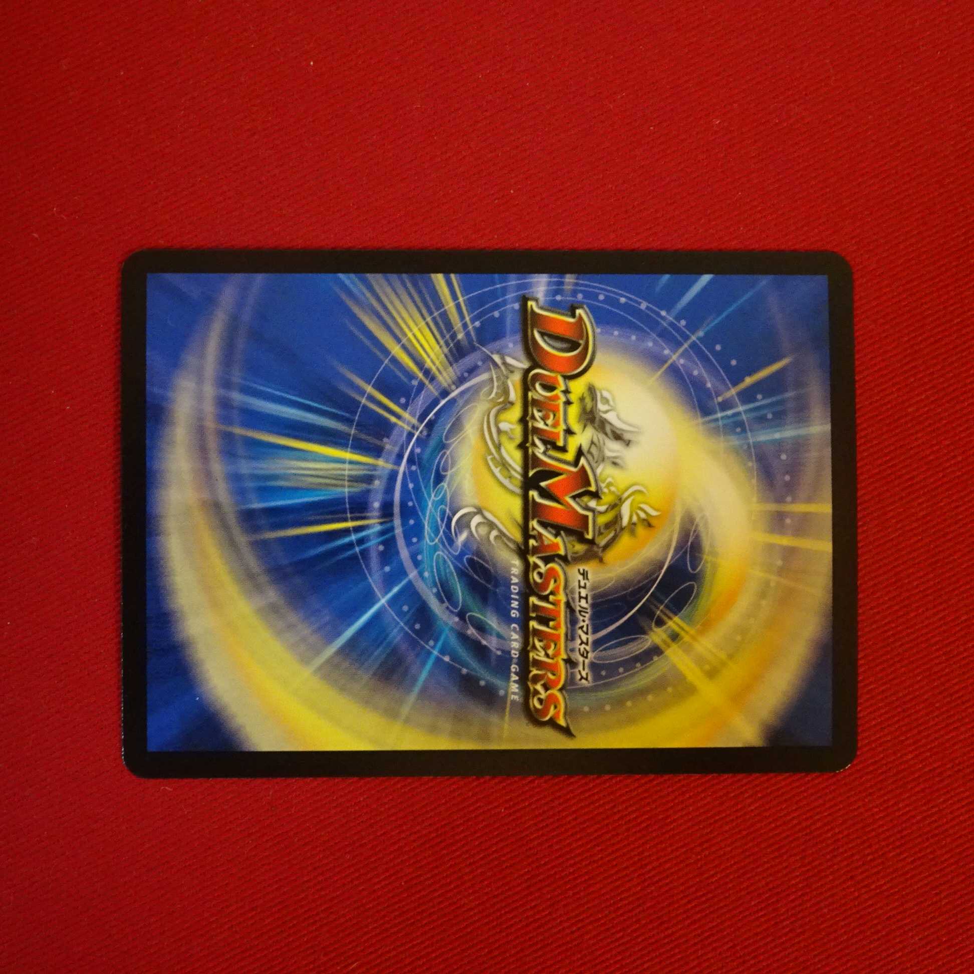 フユウ様専用 1枚