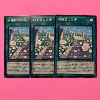 遊戯王 白薔薇の回廊 3枚 ノーマル