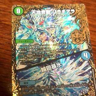 水バラギアラ 1枚