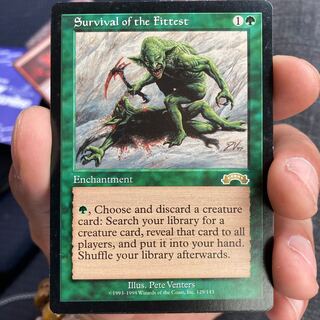 適者生存Ａランク