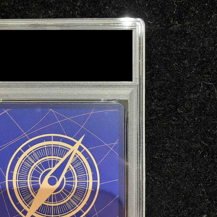 [PSA10] Portgas D. Ace (Parallel/Holographic) (2nd ANNIVERSARY SET) SR OP02-013 1枚