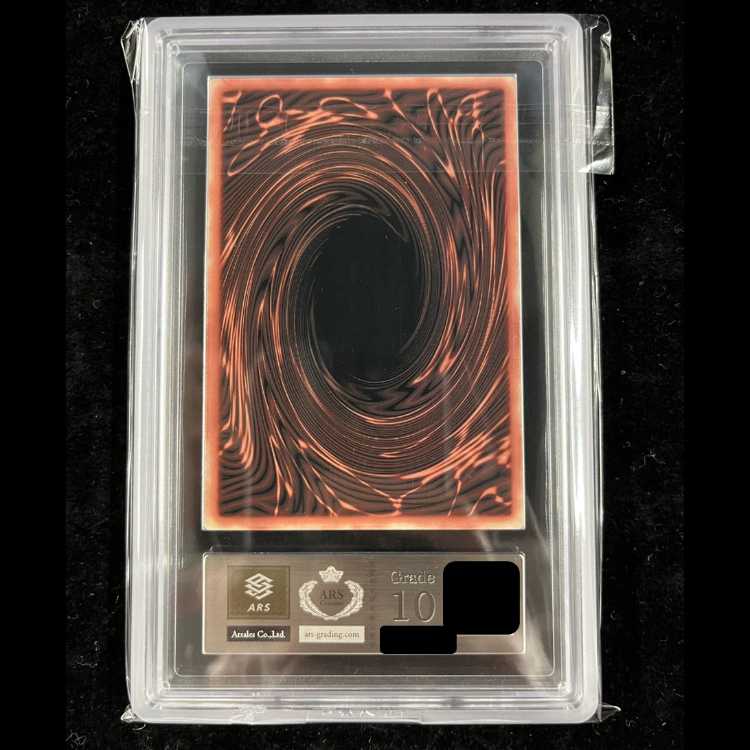 [ARS10] Slifer the Sky Dragon (Original Art on Stainless Steel) [-] {-} 1枚