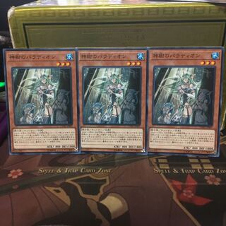 アンコウ 遊戯王 神樹のパラディオン 3枚