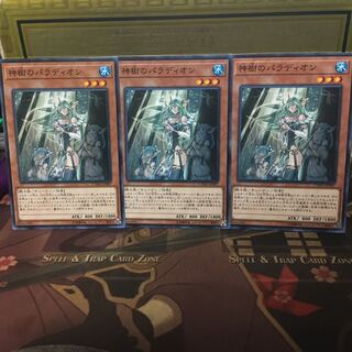 アンコウ 遊戯王 神樹のパラディオン 3枚