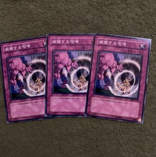 威嚇する咆哮 N 3枚