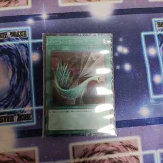 ハーピィの羽根帚 CR