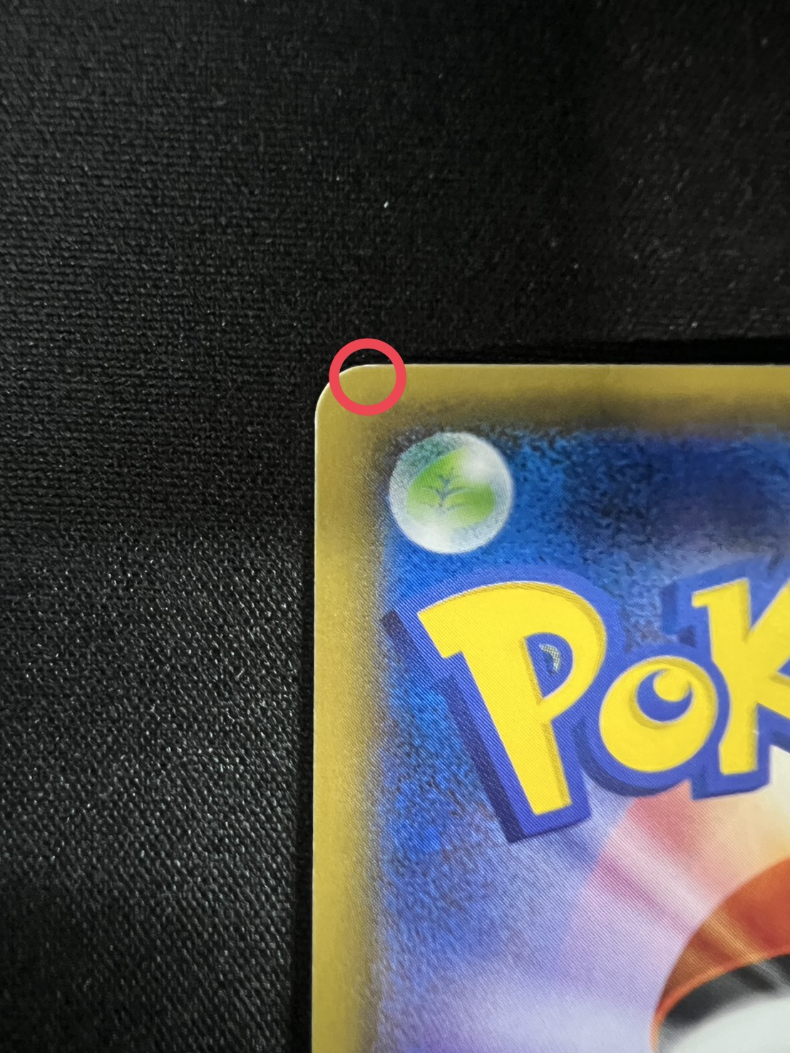 Pikachu in a Poncho [P] {231/XY-P} 1枚