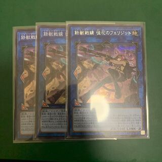 鉄獣戦線 徒花のフェリジット SE