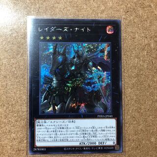 レイダーズ・ナイト SE