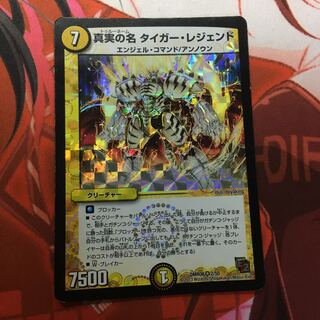 真実の名 タイガー・レジェンド VR