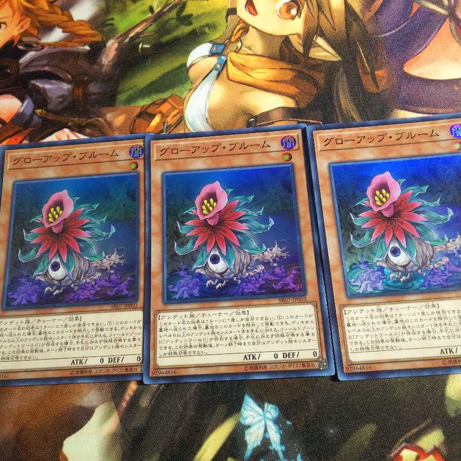 グローアップ・ブルーム　3枚