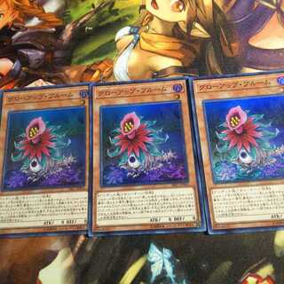 グローアップ・ブルーム　3枚