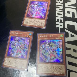 電脳堺媛-瑞々 SE