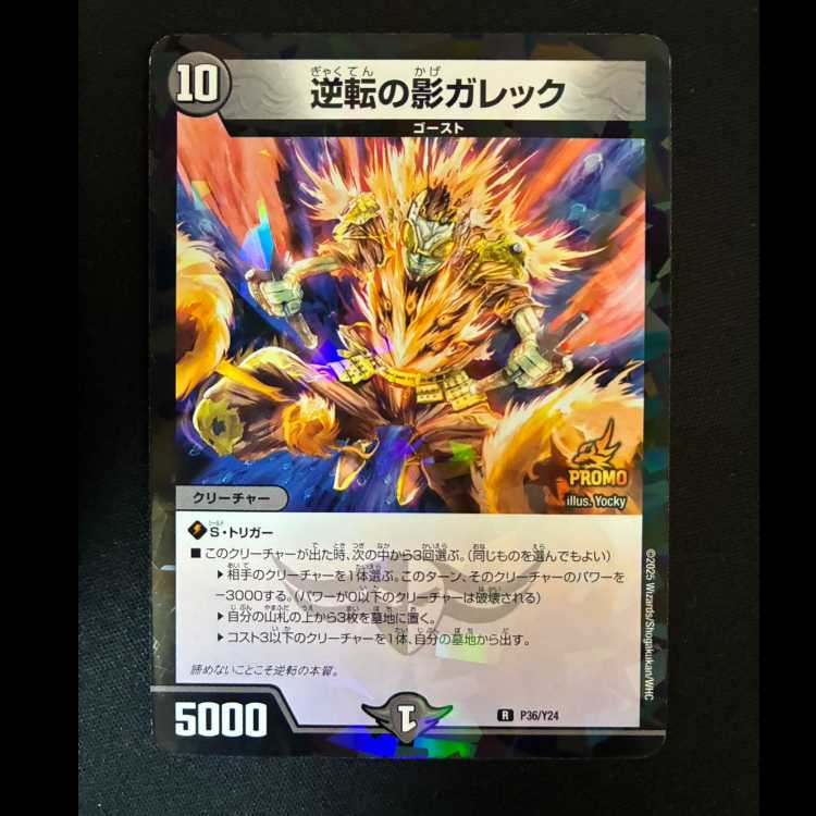 #Shadow Gareck: The Reversal R P36/Y24 1枚