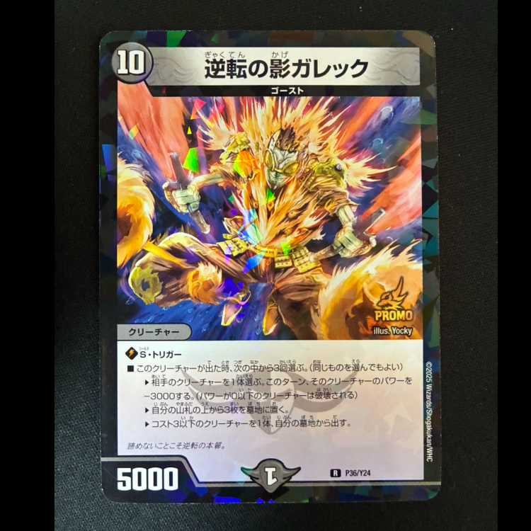 #Shadow Gareck: The Reversal R P36/Y24 1枚