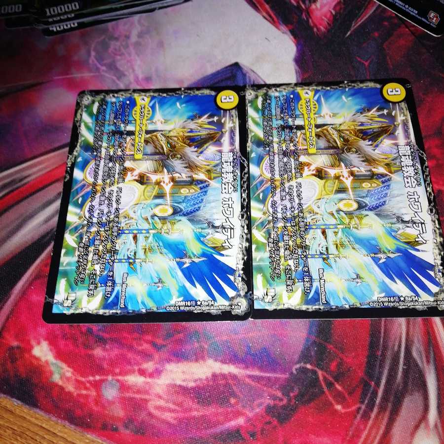 Ryukon Church Whitey|Kyokushin Ryukon All Over the World (middle left)