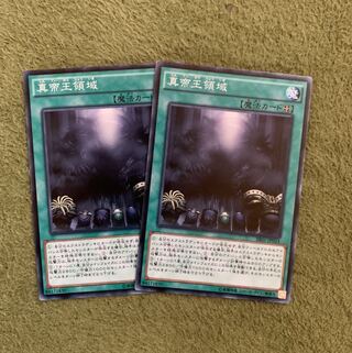 真帝王領域 N 2枚