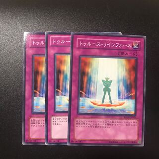 トゥルース・リインフォース N