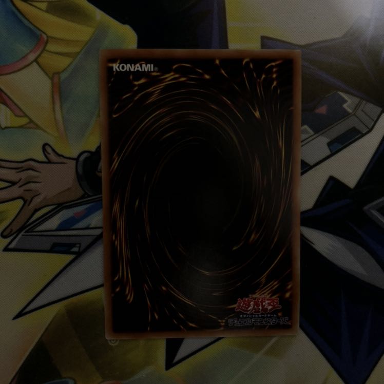 電脳堺媛-瑞々 SE 1枚