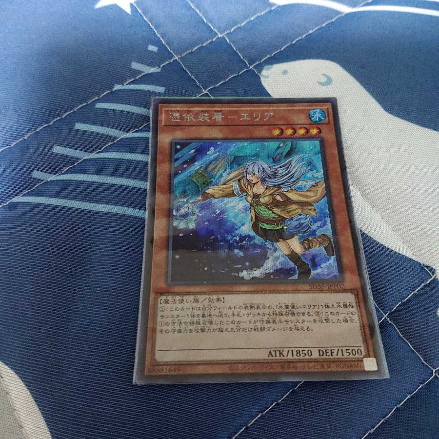 【トシさま専用】憑依装着-エリア se ２枚