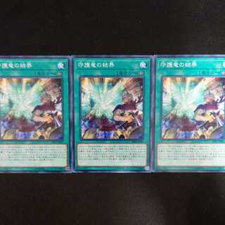 守護竜の結界 N