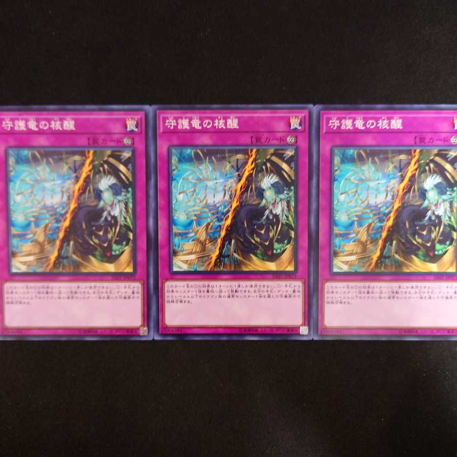 守護竜の核醒 N