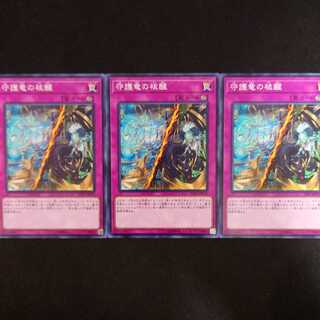 守護竜の核醒 N