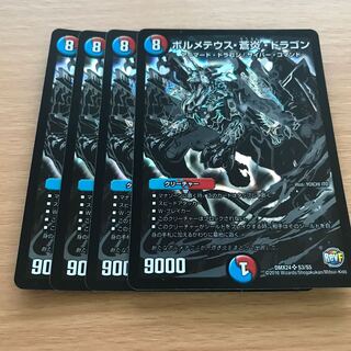 Bormetheus australis Fire Dragon