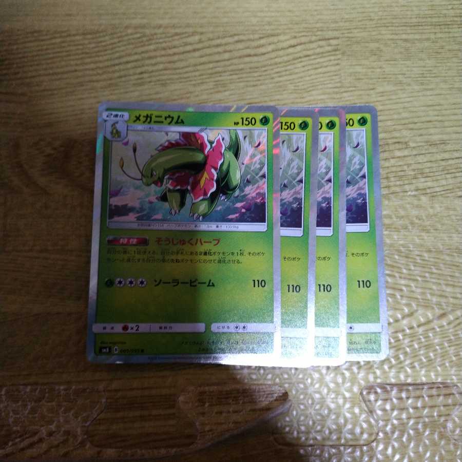 メガニウム 4枚