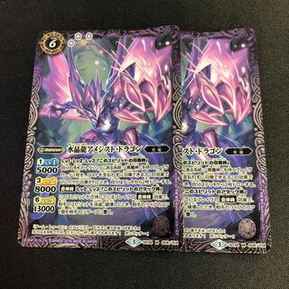 Water Crystal Dragon Amethyst Dragon 2 pieces 2枚