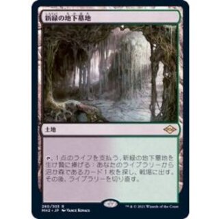 (FOIL) Verdant Catacombs/Verdant Catacombs 《Japanese》 [MH2] 1枚