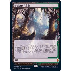 (FOIL) (Full Art) Verdant Catacombs/Verdant Catacombs 《Japanese》 [ZNE] 1枚