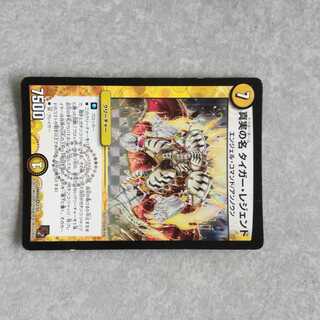 真実の名 タイガー・レジェンド