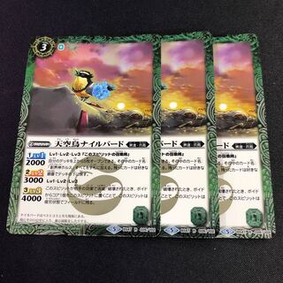 天空鳥ナイルバード 3枚 3枚