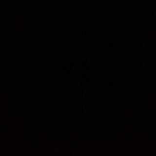 おもち様 専用 1枚