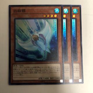 ホワイト・スティングレイ SR