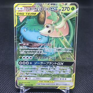 フシギバナ＆ツタージャGX RR