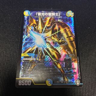 「雷光の聖騎士」