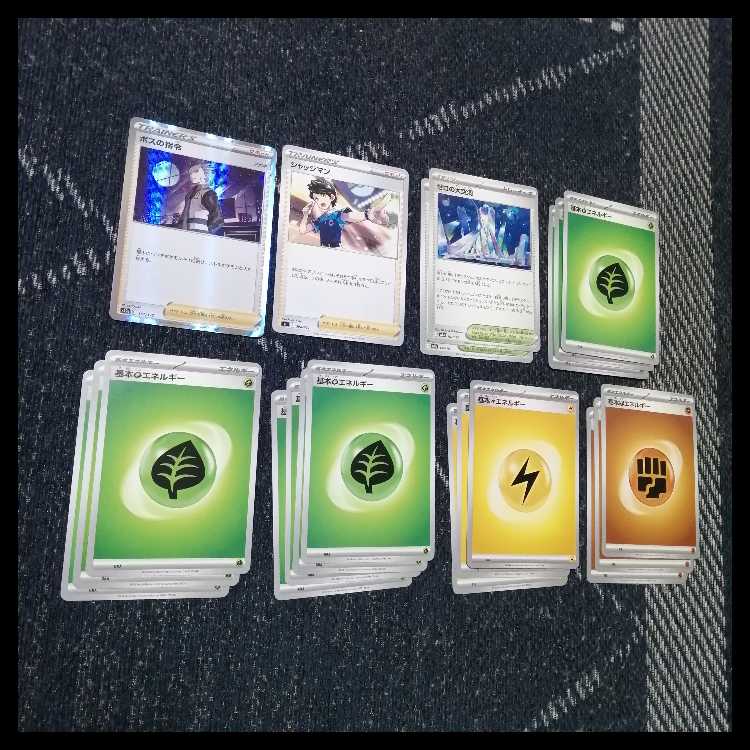 ポケモンカード　デッキ　タケルライコ　オーガポン　アンフェア[05324] 1枚