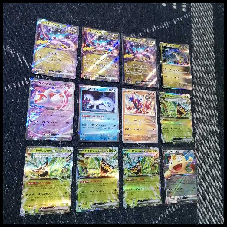 Pokémon Card Deck: Takeru Raiko, Ogapon, Unfair [05323] 1枚