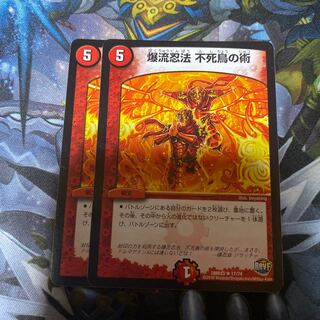 爆流忍法 不死鳥の術