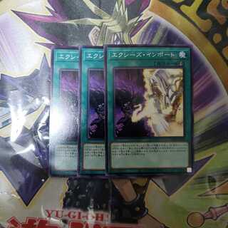 エクシーズ・インポート